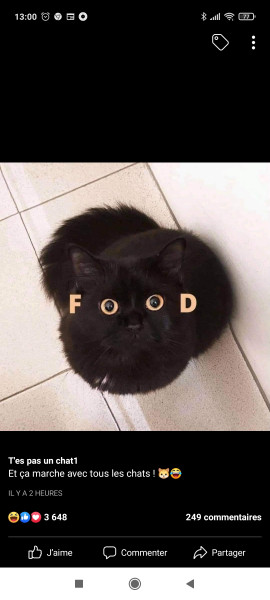 Photo de profil de arion0683