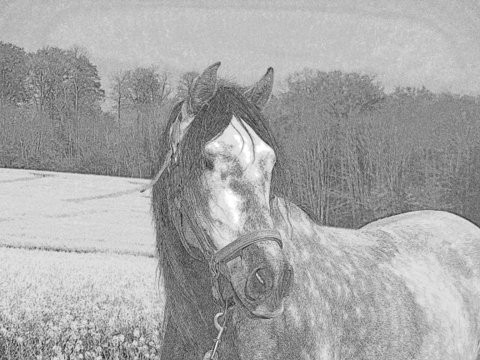 Photo de profil de armelle51