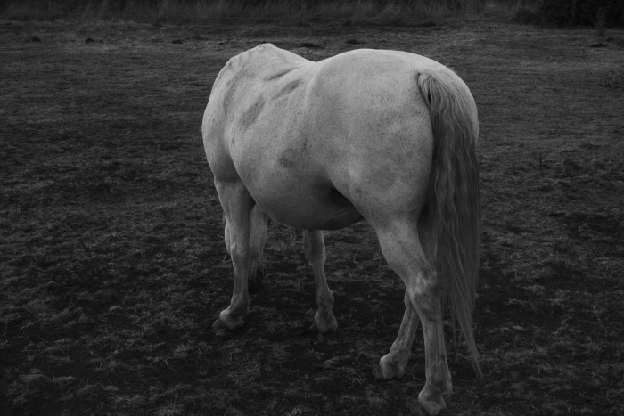 Photo de profil de arnauddel