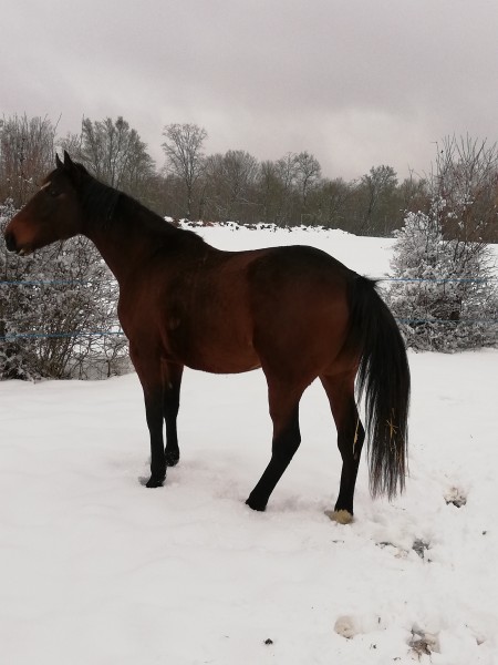 Photo de profil de arnaudmeuse77