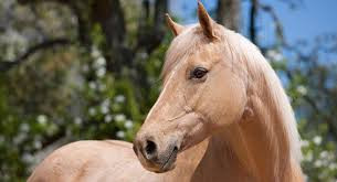 Photo de profil de artemis91