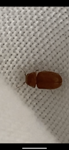 Photo de profil de arthritis