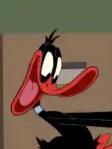 Photo de profil de aruken