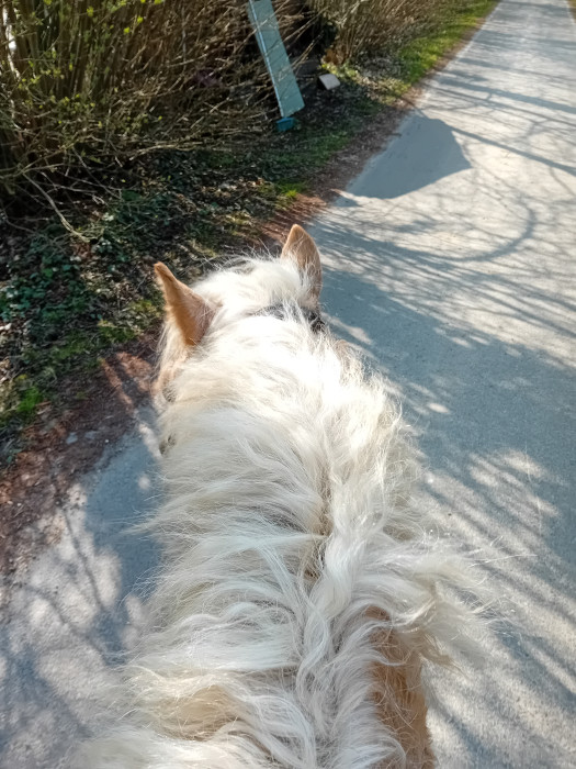 Photo de profil de asha_original