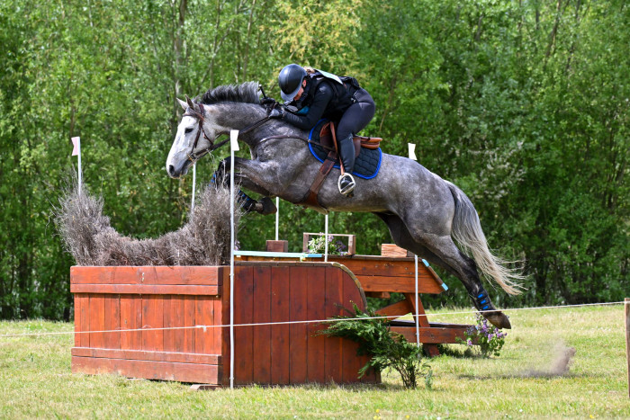 Photo de profil de askhow