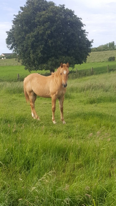 Photo de profil de asonason