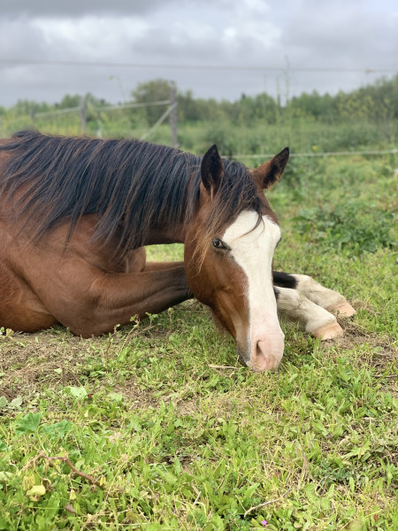 Photo de profil de assandre66