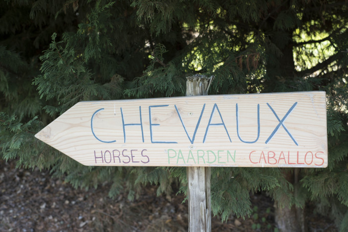 Photo de profil de assoaventure