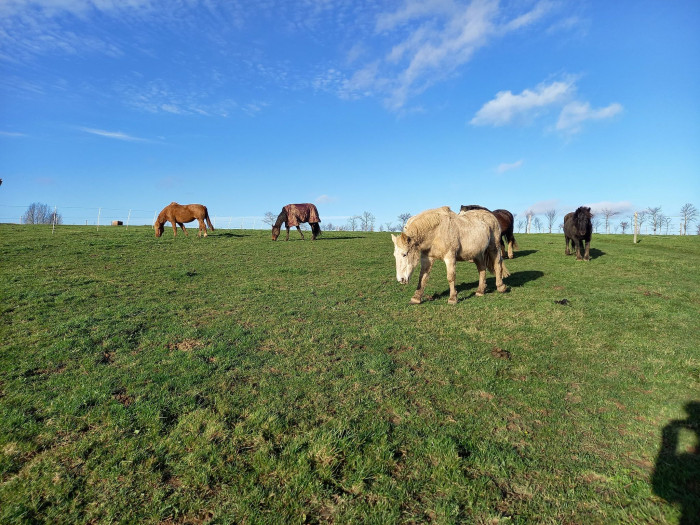 Photo de profil de association.ssf