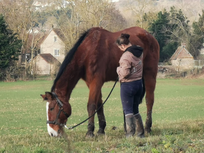 Photo de profil de assoequisouffle