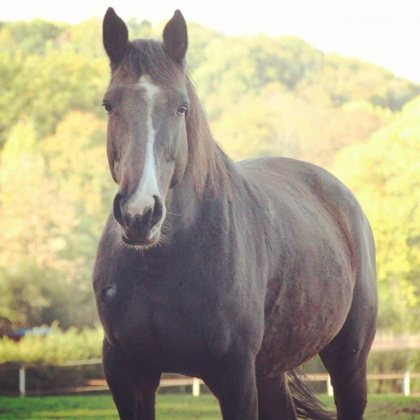 Photo de profil de atalilou