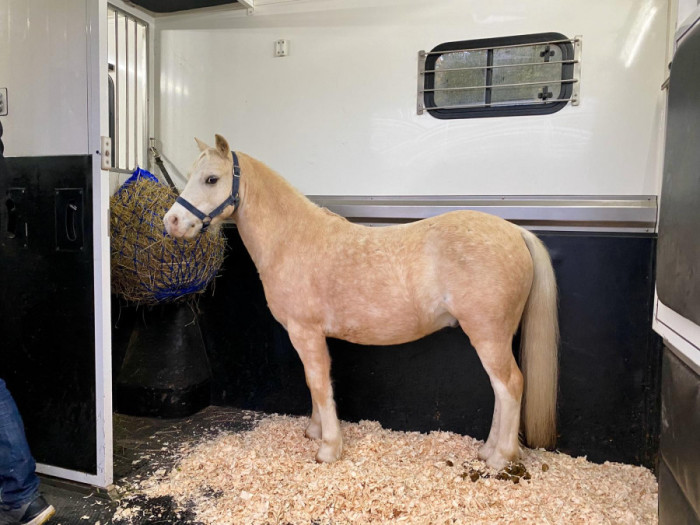 Photo de profil de atineau