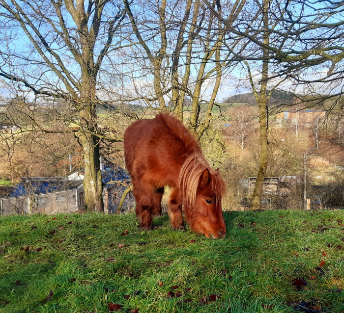 Photo de profil de aude1