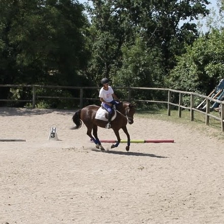 Photo de profil de audrey_c