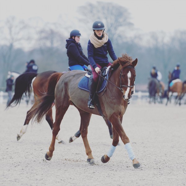 Photo de profil de audrey.padel