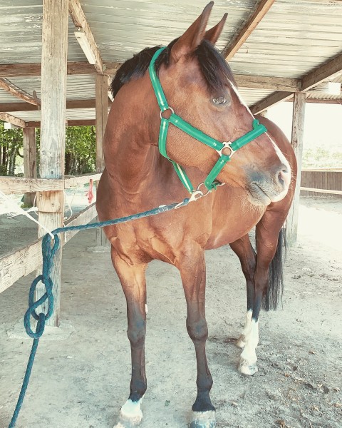 Photo de profil de aure455