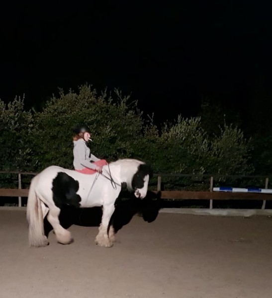 Photo de profil de aurel06