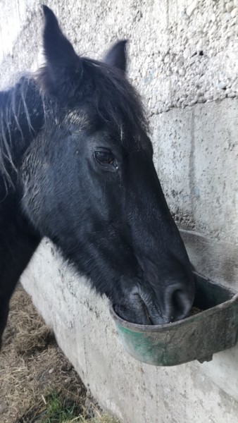 Photo de profil de aurel38430