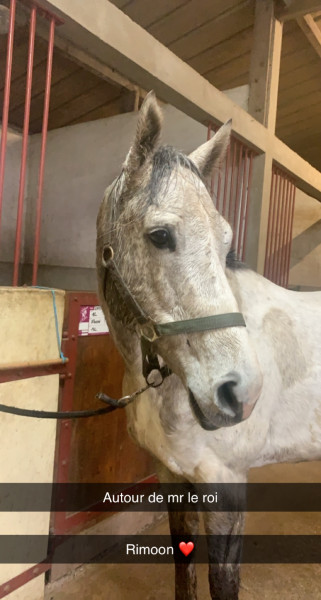 Photo de profil de aurelie720