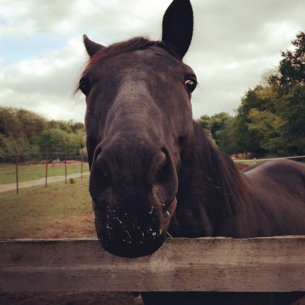 Photo de profil de aurelie9177