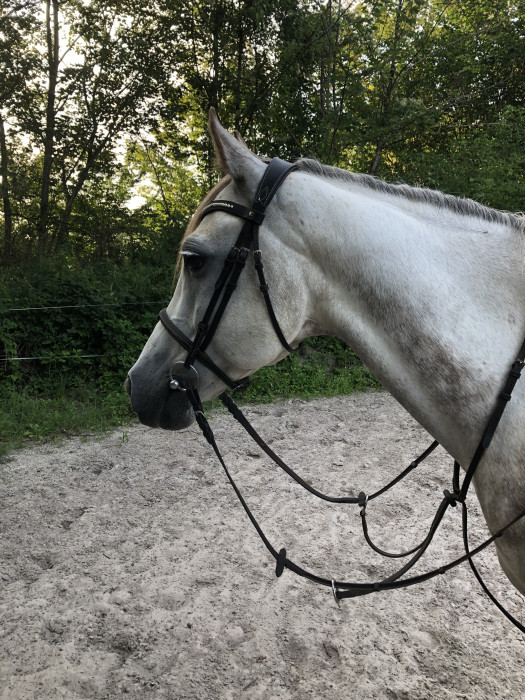 Photo de profil de aurelieprt