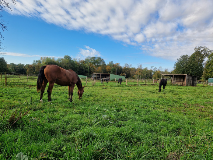 Photo de profil de aurellia77