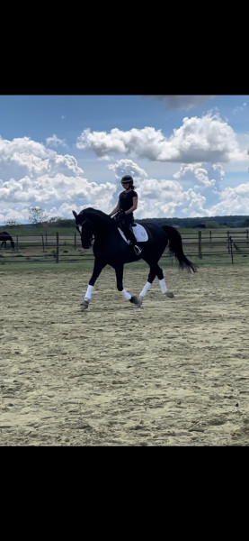 Photo de profil de aurent37120