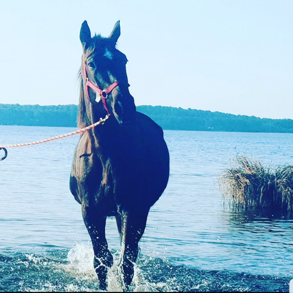 Photo de profil de auroret40