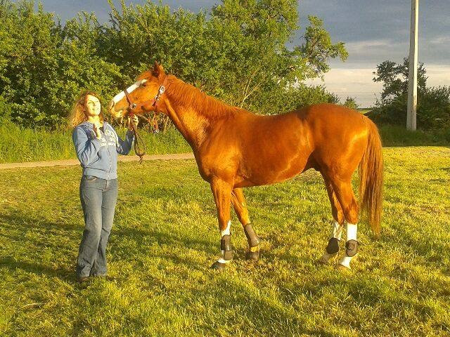 Photo de profil de awerich