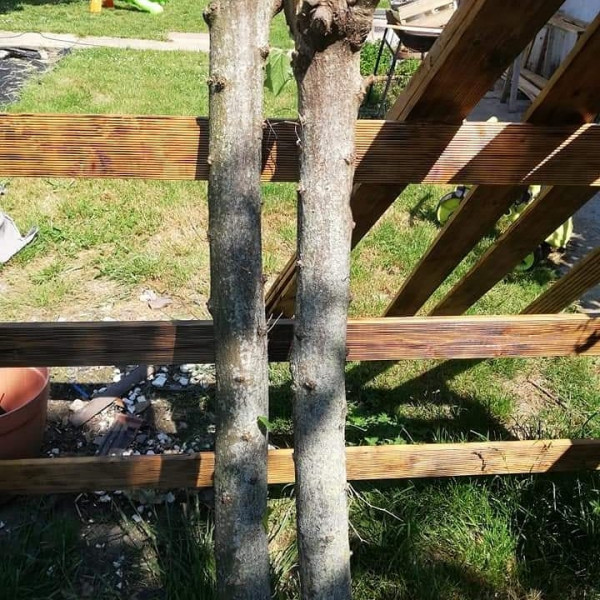 Photo de profil de axel24