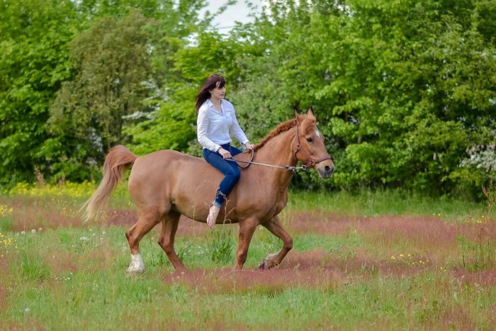 Photo de profil de axellee