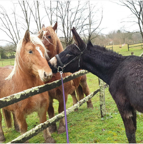 Photo de profil de aylincompagnie