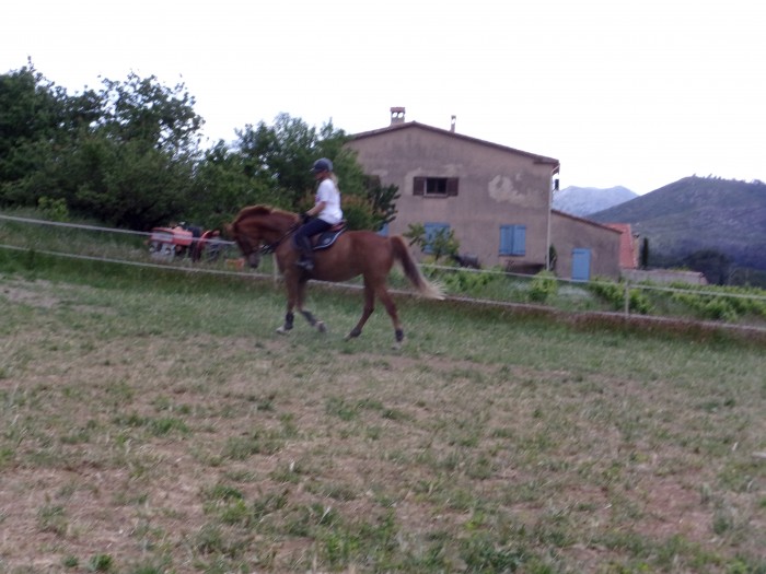 Photo de profil de azaan13