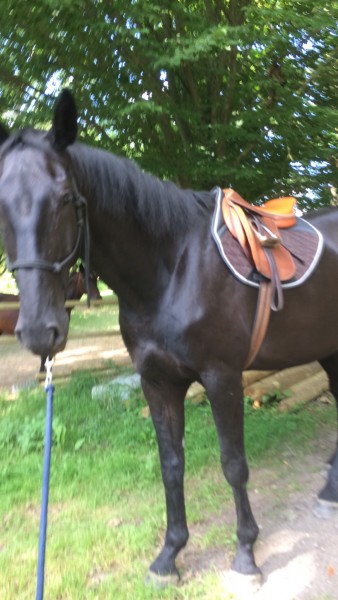 Photo de profil de bab1