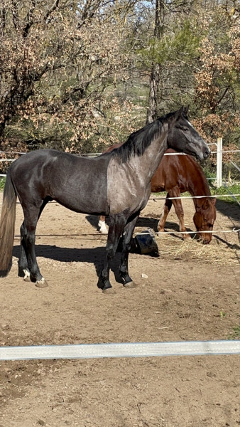 Photo de profil de baklou