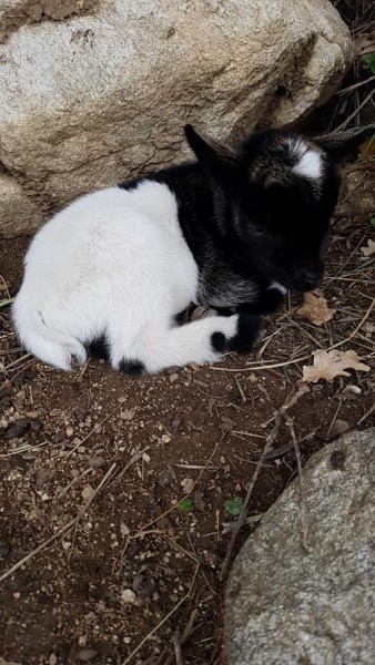 Photo de profil de balagne