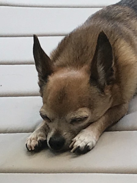 Photo de profil de balthazar13