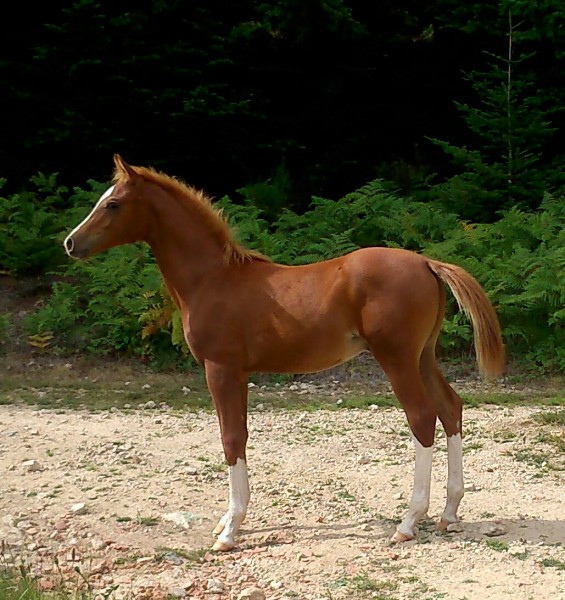 Photo de profil de baltik