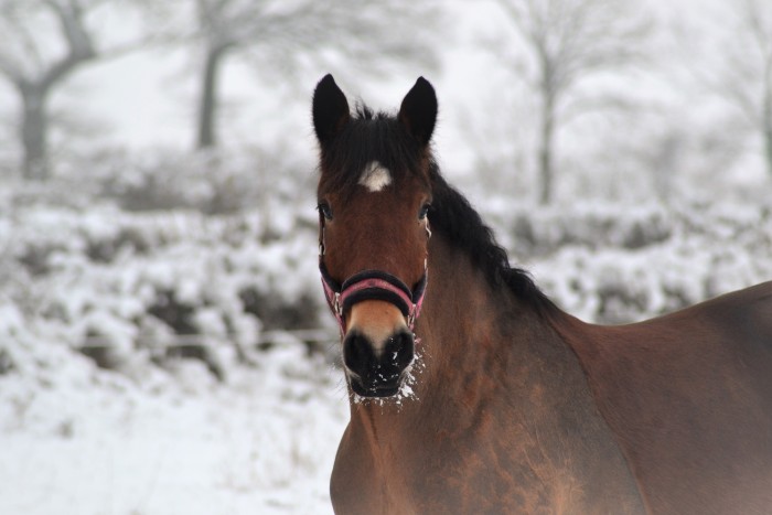 Photo de profil de baly042017