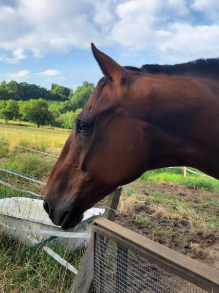 Photo de profil de barcus2000el