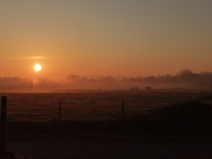 Photo de profil de basc