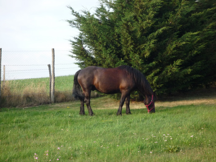 Photo de profil de bav63