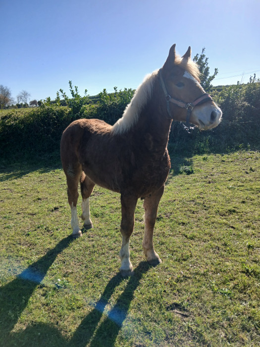 Photo de profil de bazat