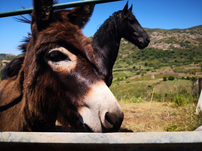 Photo de profil de beeb