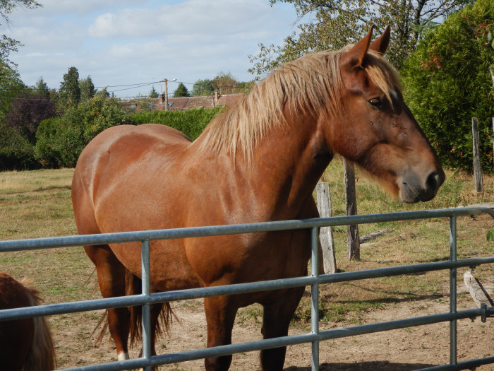 Photo de profil de bella62