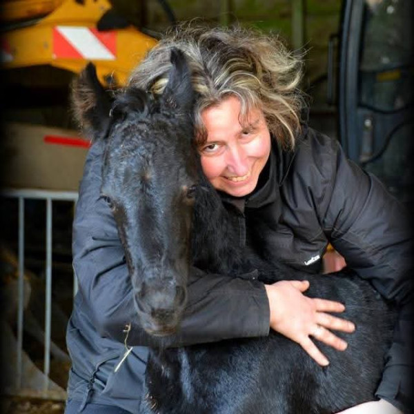 Photo de profil de benelo