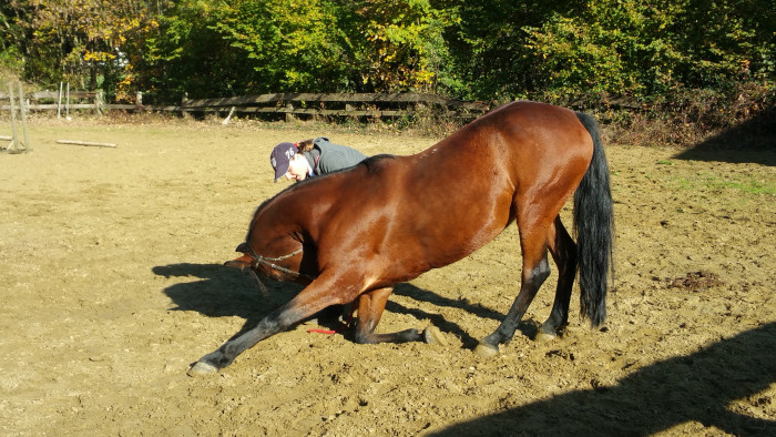 Photo de profil de berenice060