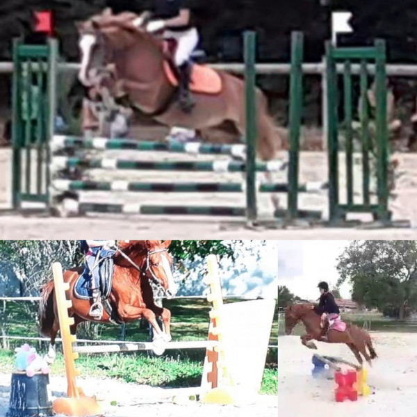 Photo de profil de bergachoups_632