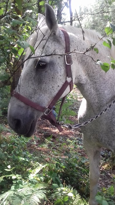 Photo de profil de berheu