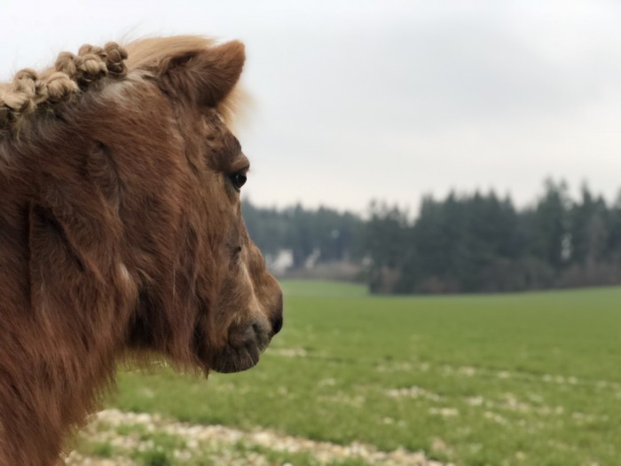Photo de profil de berrigazioual
